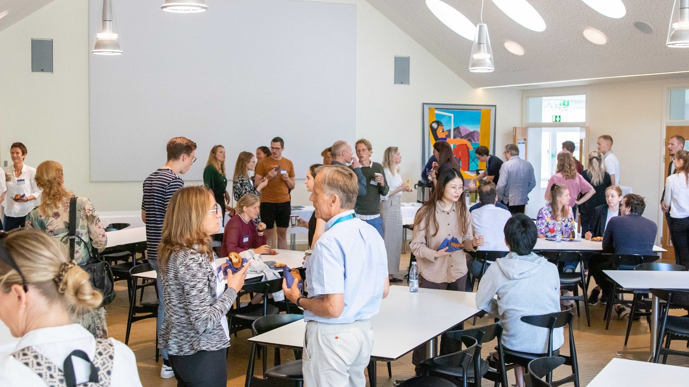 Through interdisciplinary collaboration, the overall goal of the Inflammation Network is to improve the knowledge, diagnosis, prevention and treatment of inflammatory diseases, which cost millions of lives every year around the world.