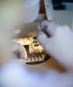 Forskere fra hele verden har kastet sig over CRISPR-teknologien, som nemt og billigt kan klippe og klistre i gener. CRISPR/Cas9 er et genetisk værktøj, der ofte bliver anvendt inden for både behandling af visse human genetiske sygdomme og i grundforskn