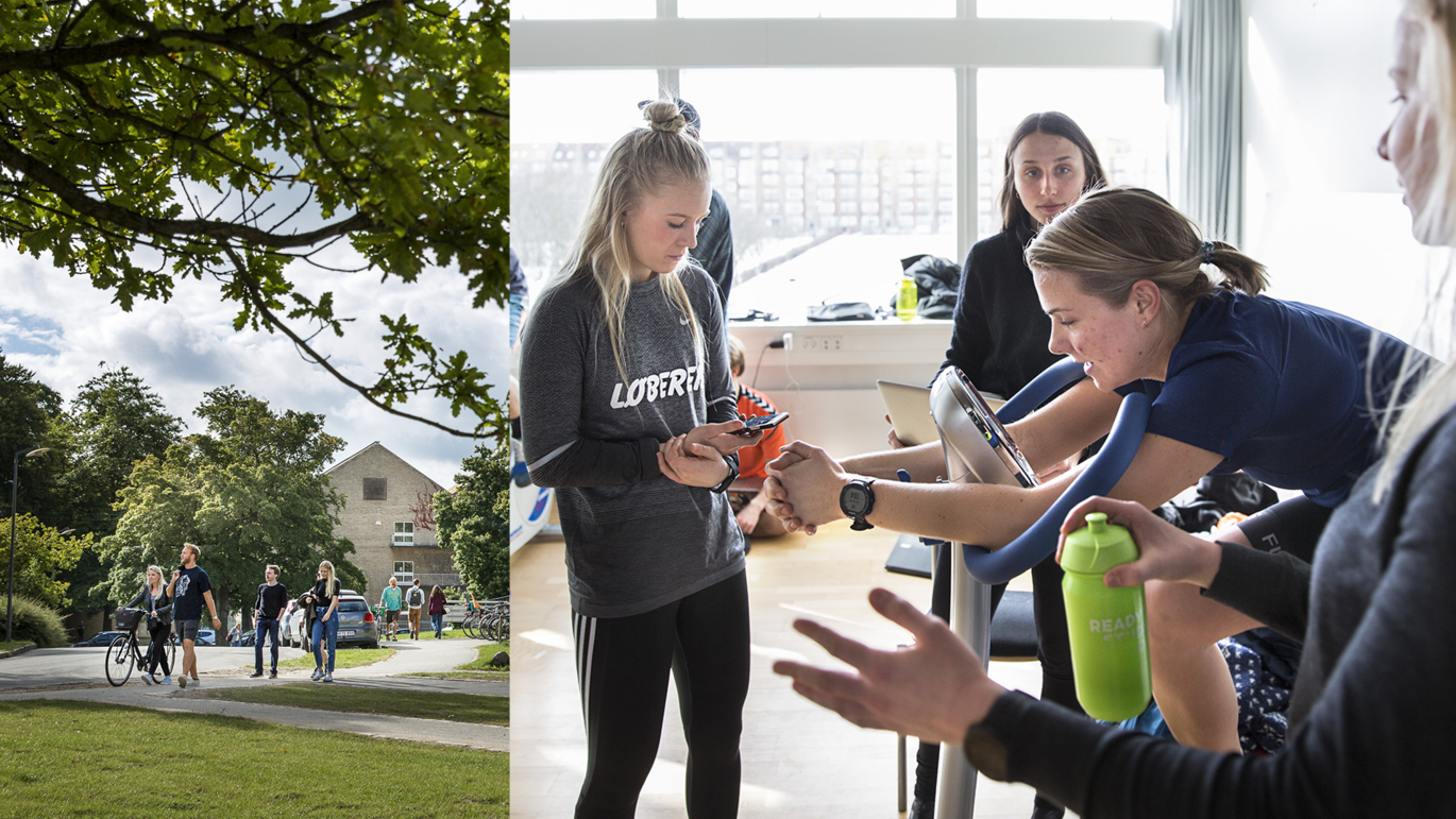 Ved næste studiestart vil der være færre idrætsstuderende på boldbanerne på Dalgas Avenue og færre studerende på folkesundhedsvidenskab i den sydlige del af campus. Foto: ??