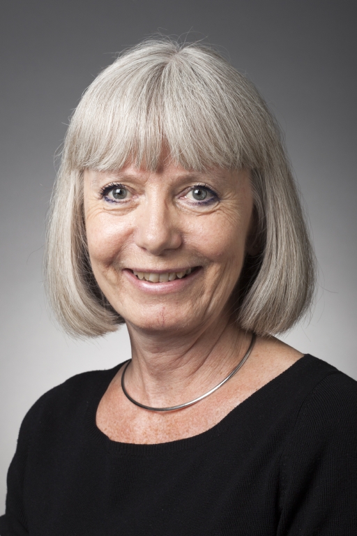 AU's politik for ansvarlig forskningspraksis er ved at blive opdateret. Og det er vigtigt med klare retningslinjer for god forskningsskik, fortæller professor Bente Nyvad. Foto: Lars Kruse/AU Kommunikation.