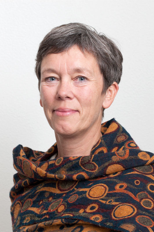 Lektor Kirsten Beedholm er ny studieleder og formand for Studienævnet for de sundhedsfaglige kandidadatuddannelser. Foto: AU.