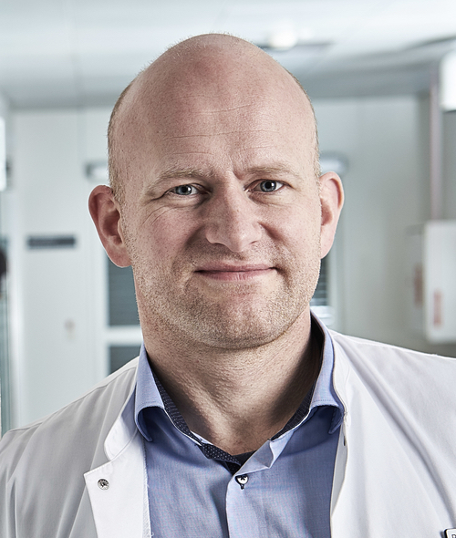Professor Per Borghammer