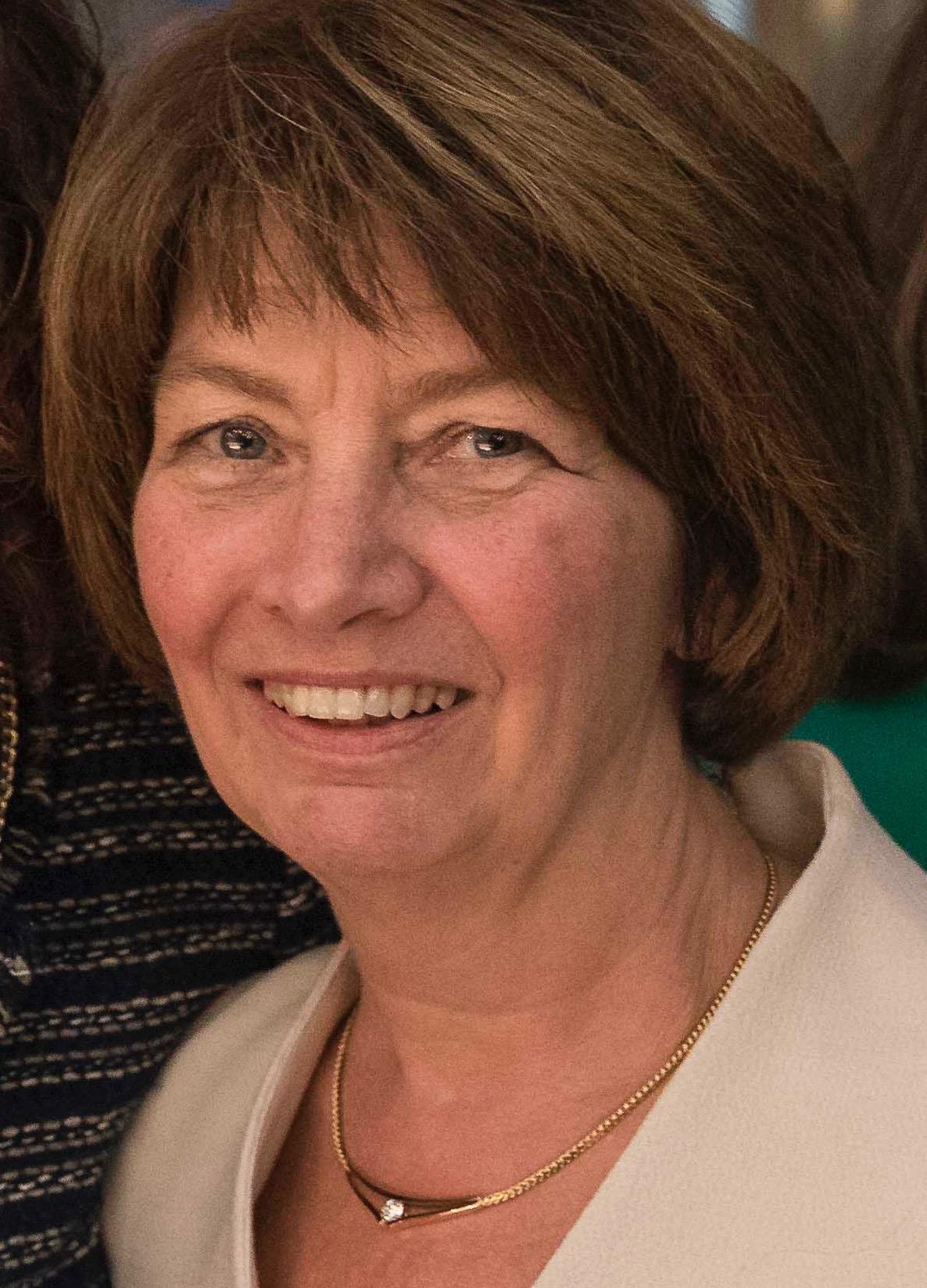 Christina Vandenbroucke-Grauls fra Institut for Klinisk Medicin forsker bl.a. i, hvordan antibiotikaresistente bakterier spredes – både på sygehuse og i befolkningen generelt.