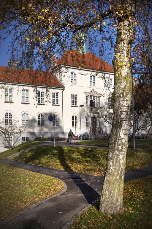 Der er nye studiefaciliteter på vej i Victor Albeck Bygningen. I starten af 2014 kan AU Library Sundhedsvidenskab tilbyde brugerne et moderniseret studie- og arbejdsmiljø med plads til endnu flere studerende. Foto: AU Kommunikation.
