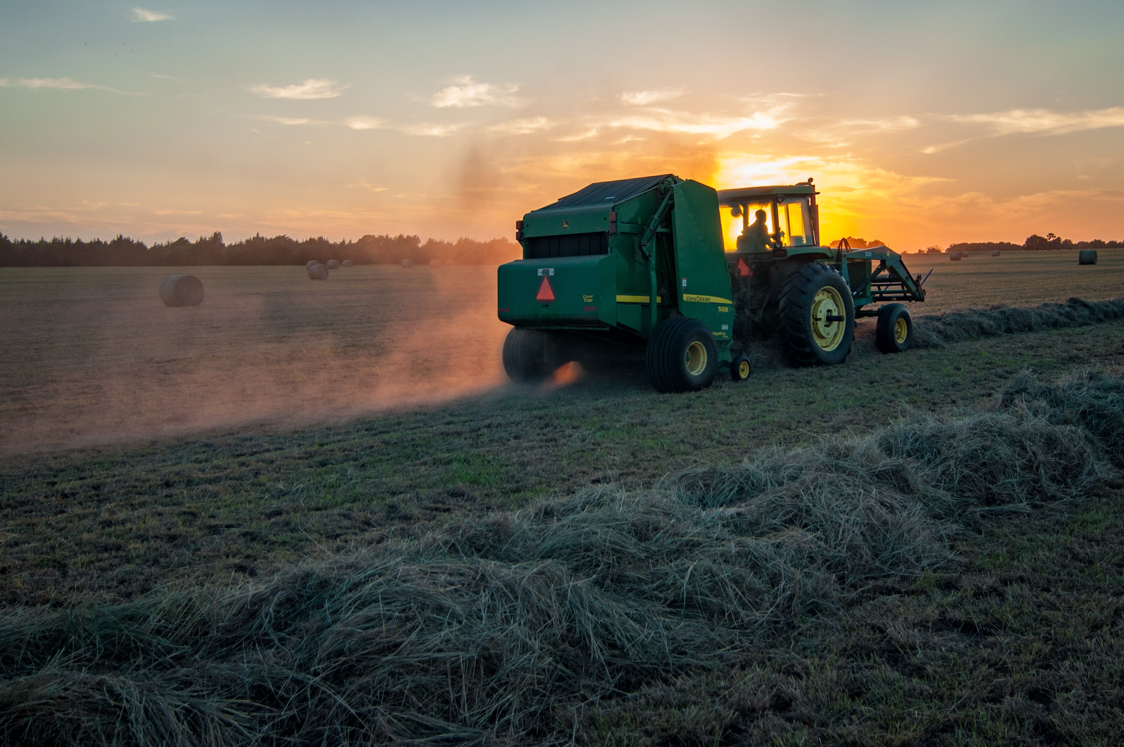 For farmers and employees in the farming industry, it is the dust from pigs, cows and feed that they risk inhaling during their daily work, while for employees in the wood industry, the issue is wood dust. Photo: Jed Owen, Unsplash.